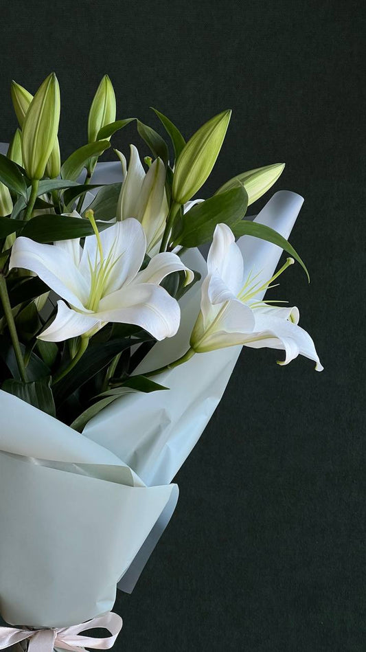 Lilies: how to care?