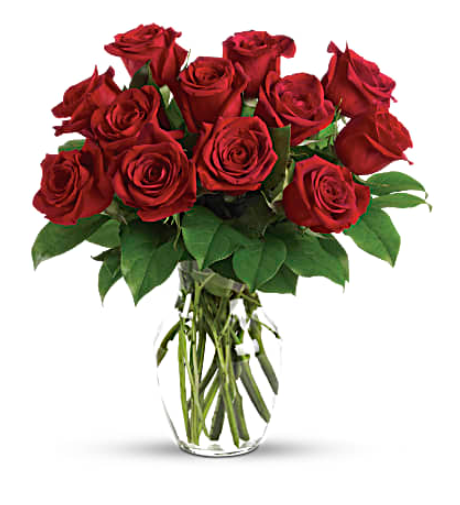 Enduring Passion - 12 Red Roses