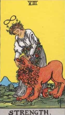 8.STRENGTH - gerbera, garden roses, amaranthus, spray