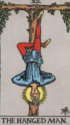 12.THE HANGED MAN - eucalyptus, roses, spray roses, mums