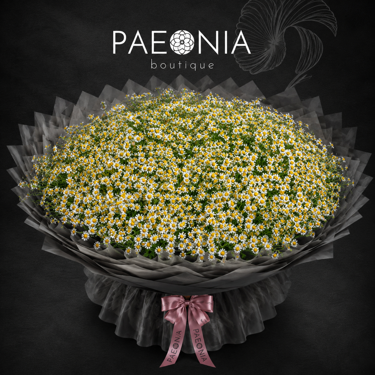Matricaria Bouquet - 300-1000st