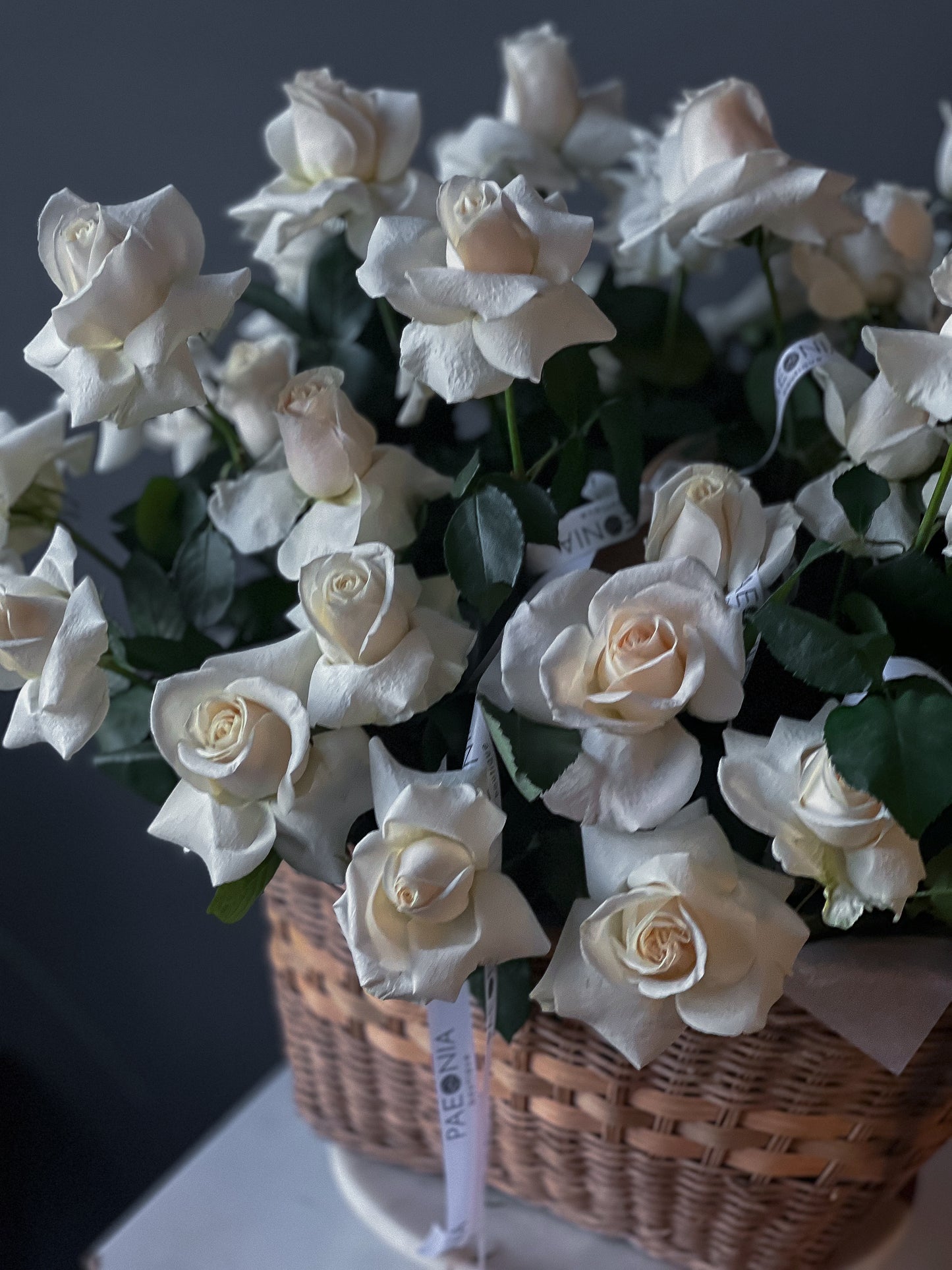 White roses, 50pcs