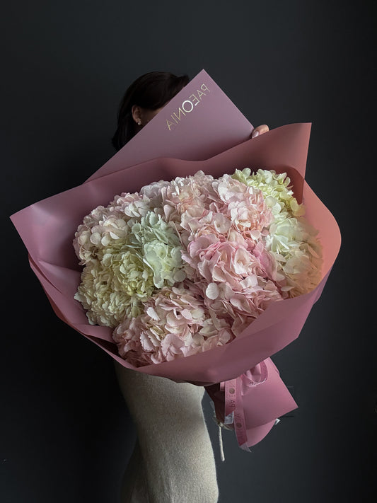 MD #13 Hydrangea Mix