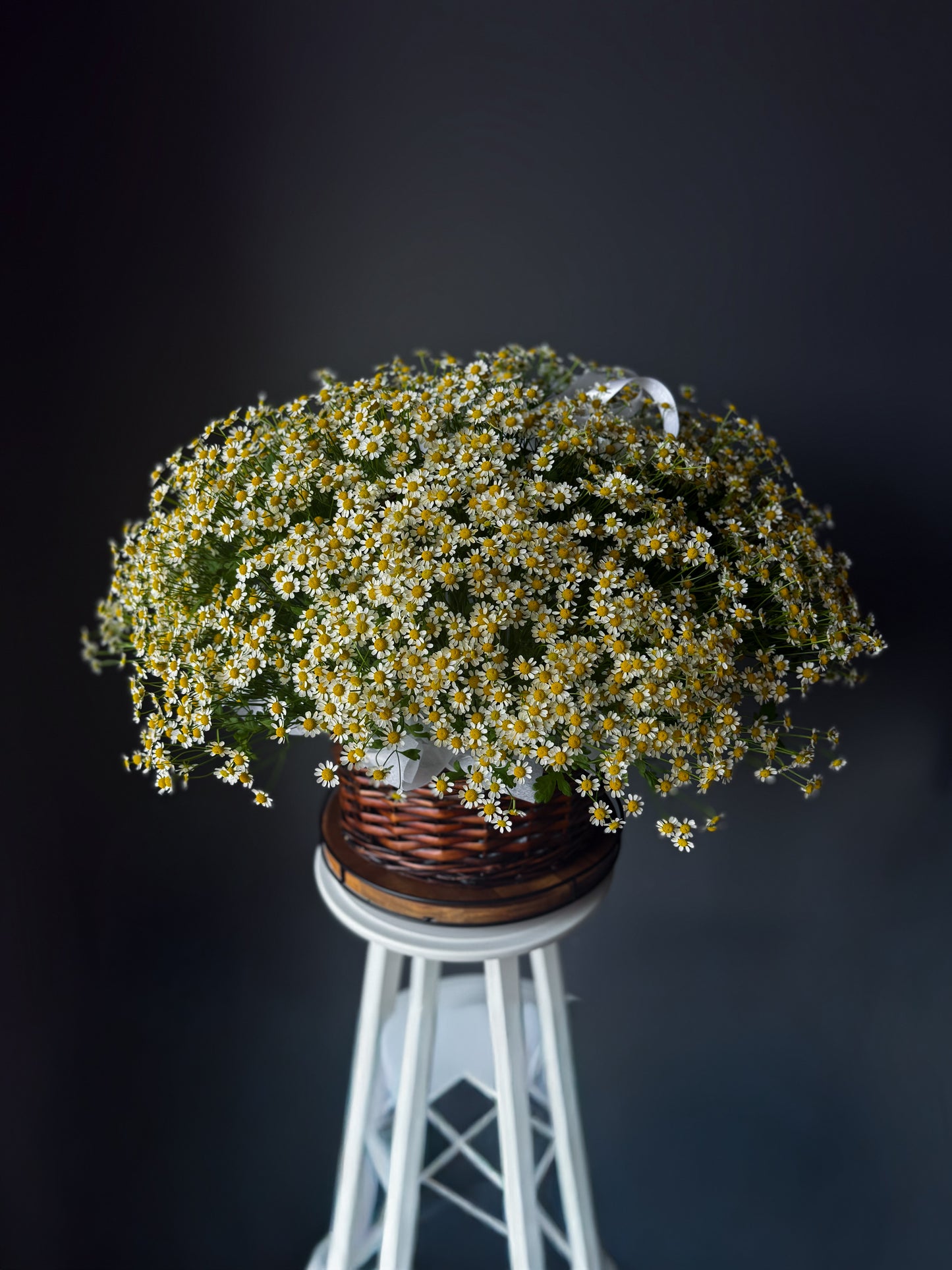 Matricaria Basket – 70 Stems