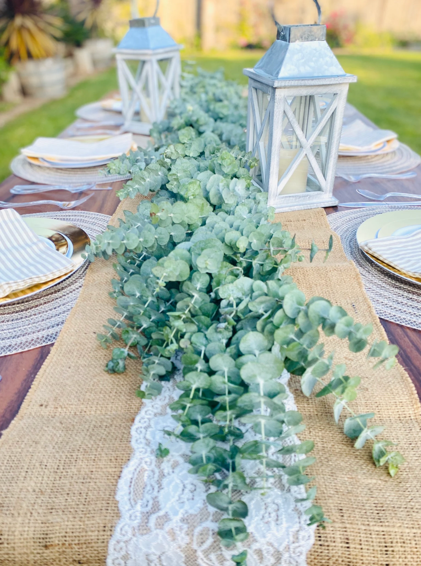 Eucalyptus stems