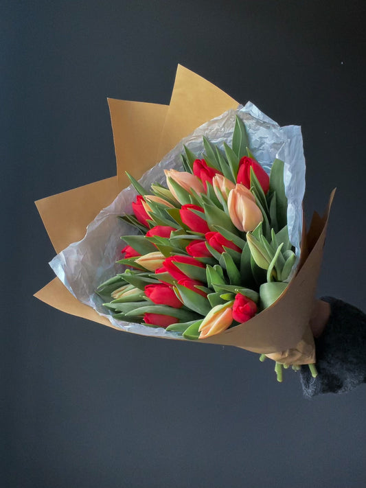 Tulips (single) 25st