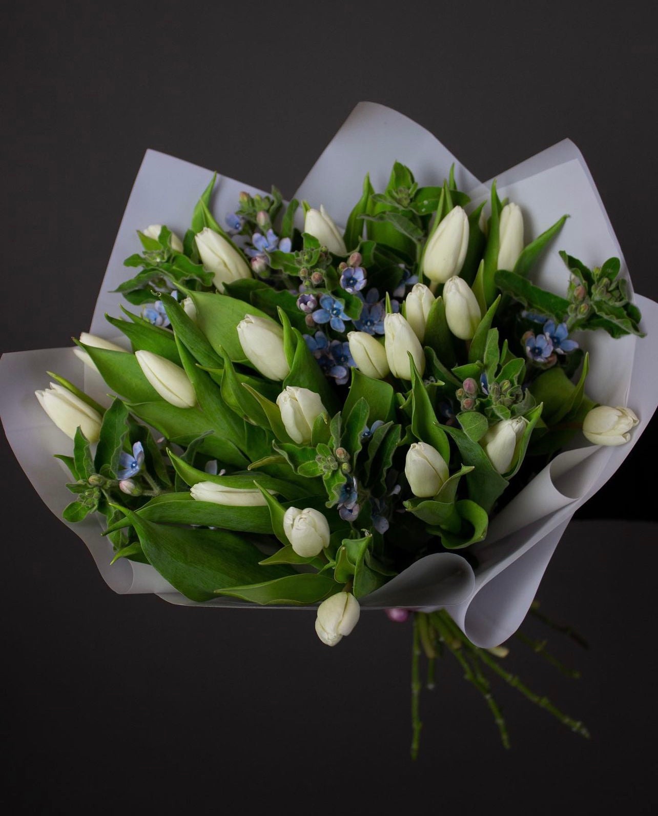 White (single) tulips with Tweedia