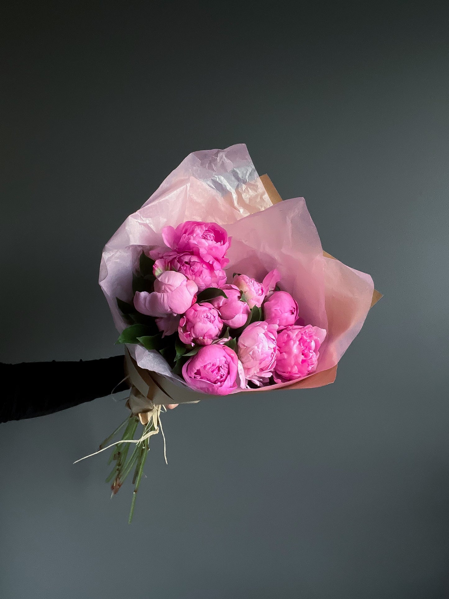 Pink Peonies, 10st
