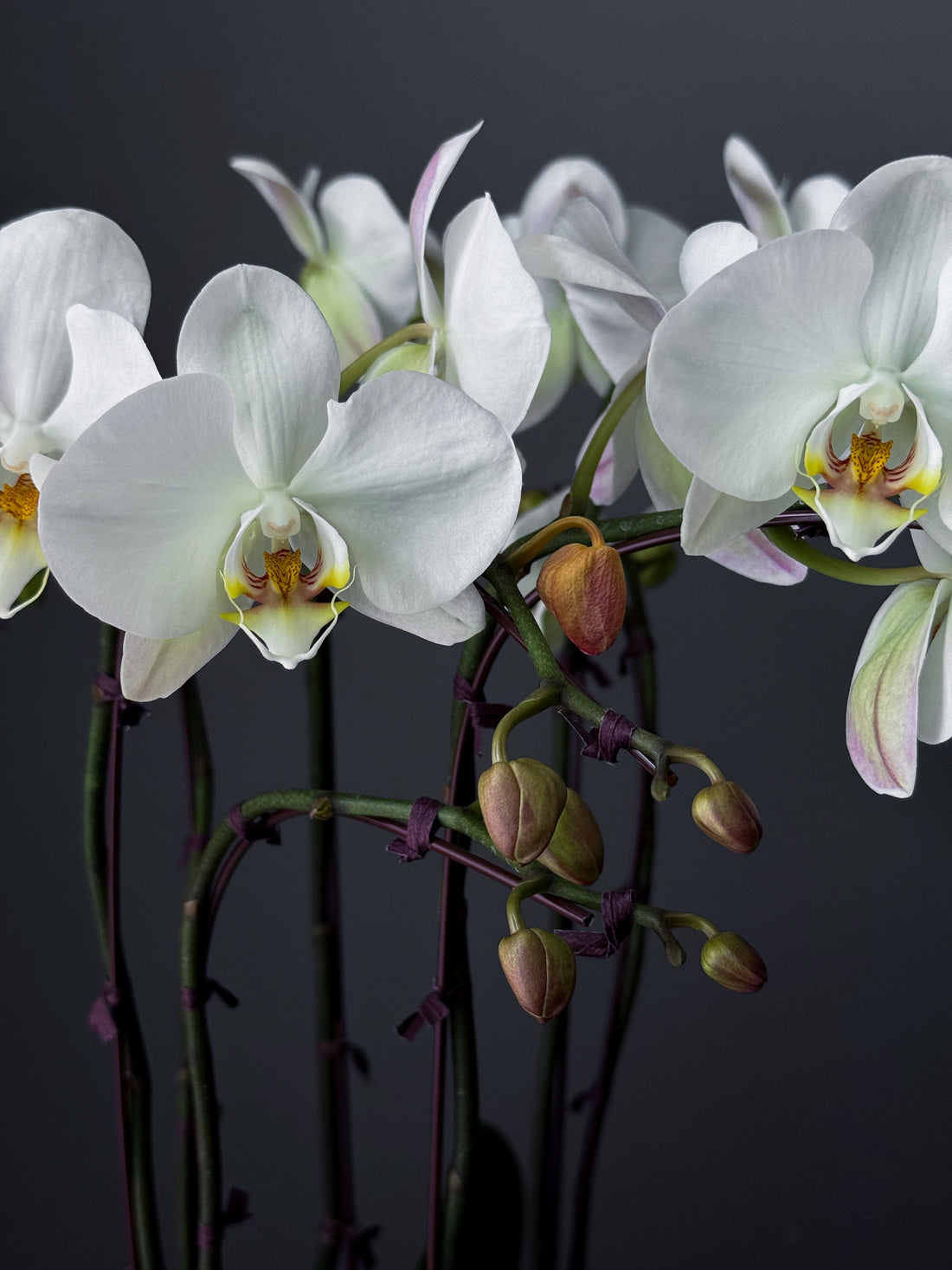 Gift Guide: Bouquets That Make an Impression for Birthdays, Anniversaries, and More