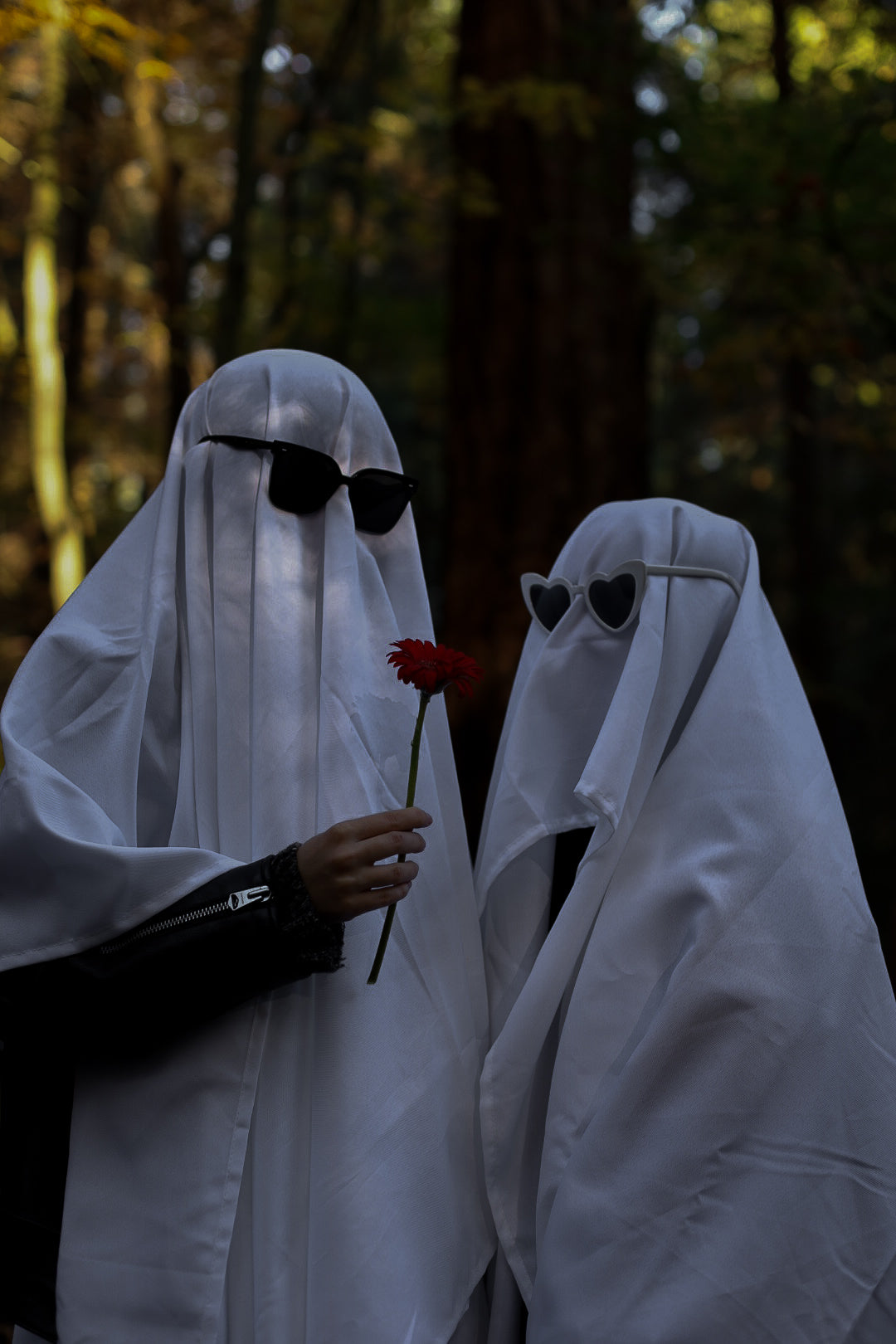 Halloween Collection