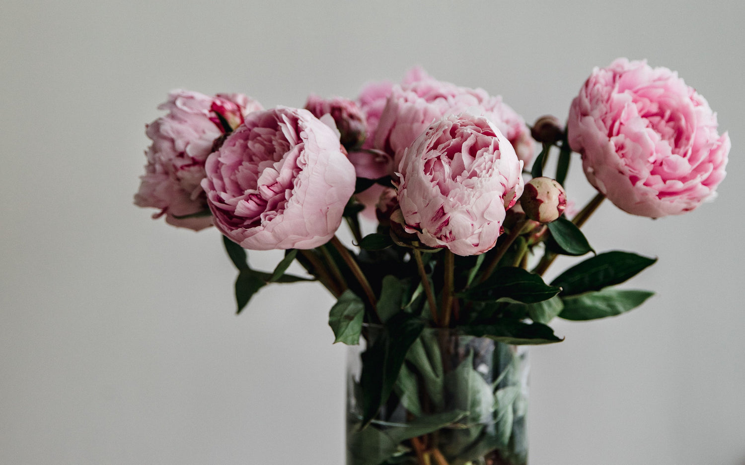 Home Vase Arrangements (Flower Subscription)