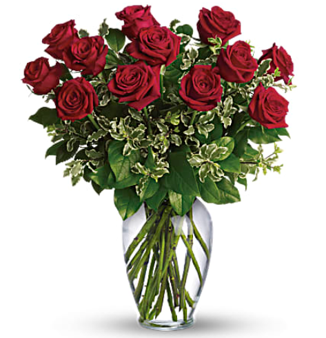 Always on My Mind - Long Stemmed Red Roses