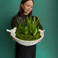 #1 Spring Garden Bowl – Bulbs & Moss Arrangement (Crocus+Muscar+Hyacinth)
