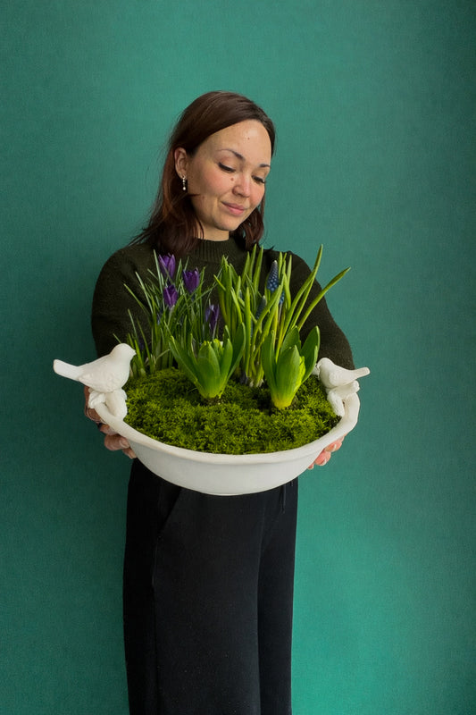 #1 Spring Garden Bowl – Bulbs & Moss Arrangement (Crocus+Muscar+Hyacinth)