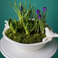 #1 Spring Garden Bowl – Bulbs & Moss Arrangement (Crocus+Muscar+Hyacinth)