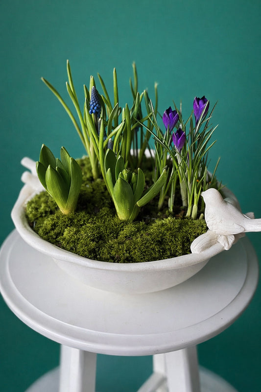 #1 Spring Garden Bowl – Bulbs & Moss Arrangement (Crocus+Muscar+Hyacinth)