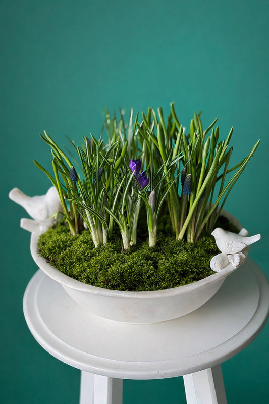 #2 Blooming Spring Garden – Bulb & Moss Bowl (Crocus + Muscar)