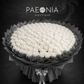 White Roses Bouquet - 300-1000st