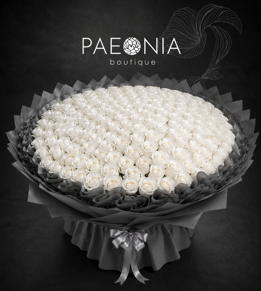 White Roses Bouquet - 300-1000st