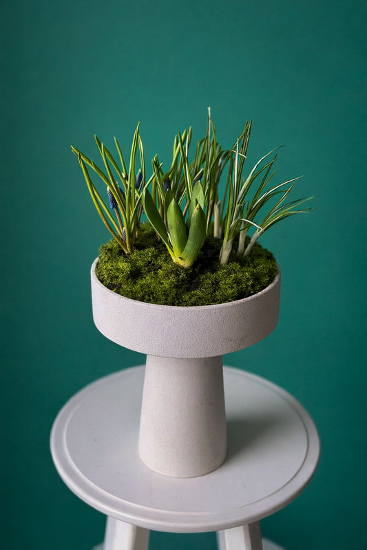 #3 Modern Spring Garden – Elevated Bulb Arrangement (Hyacunth + Narciss)