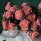 Peach Garden Roses Box Julliette  – Elegant Floral Arrangement