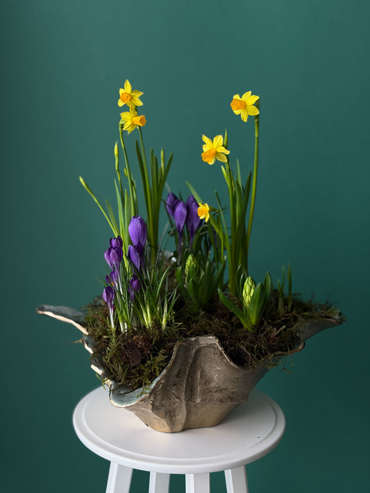 #5 Spring Bloom Garden – Premium Living Arrangement (Narciss+Crocus+Hyacinth+Muscar)