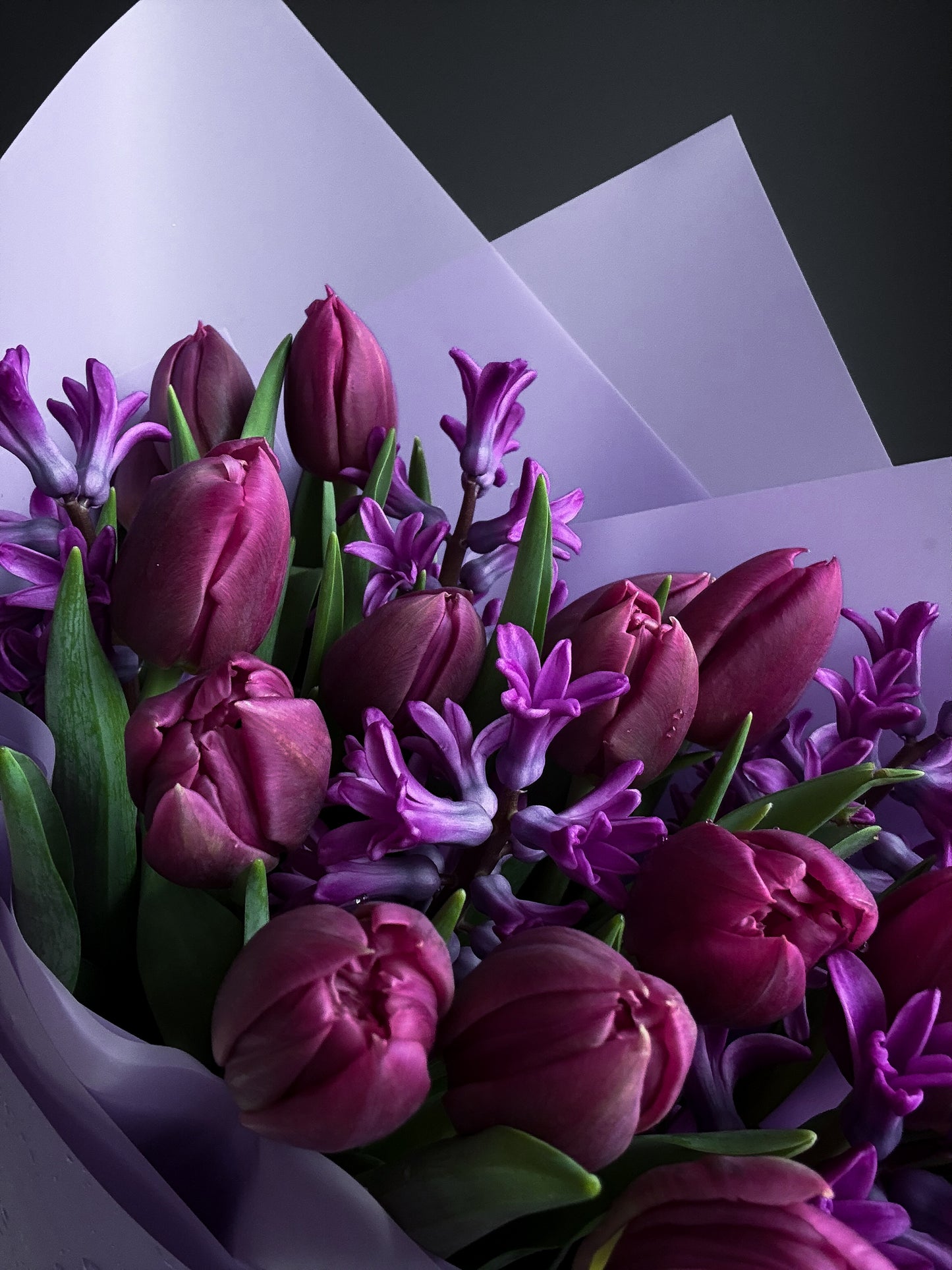 20 Lavender Double Tulips + Hyacinths